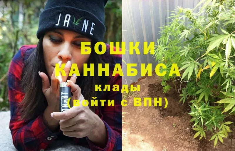 где купить наркотик  Пучеж  Каннабис SATIVA & INDICA 